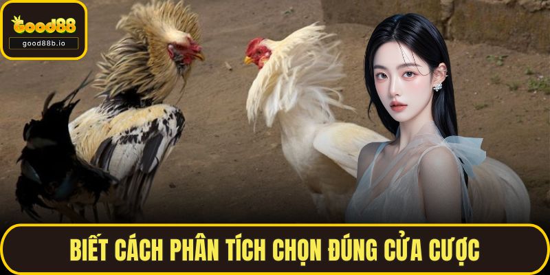 Biết cách phân tích chọn đúng cửa cược