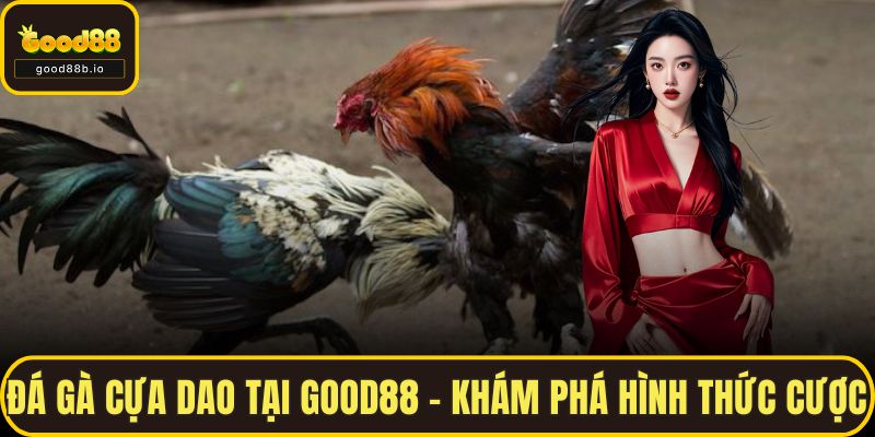 Đá Gà Cựa Dao Tại GOOD88 – Khám Phá Hình Thức Cược