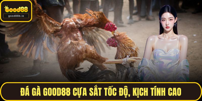 Đá gà GOOD88 cựa sắt tốc độ, kịch tính cao