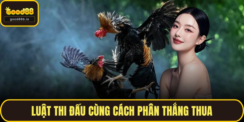 Đá Gà Cựa Sắt GOOD88 – Trận Địa Cho Những Người Yêu Chiến Kê Luật thi đấu cùng cách phân thắng thua