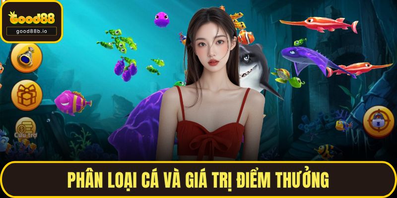 Phân loại cá và giá trị điểm thưởng