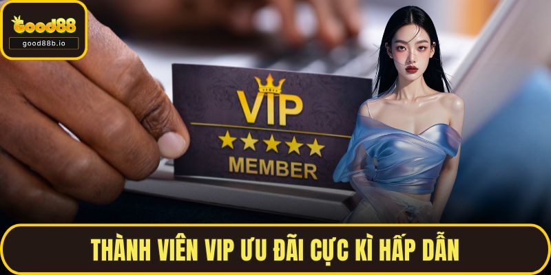 Thành viên VIP ưu đãi cực kì hấp dẫn